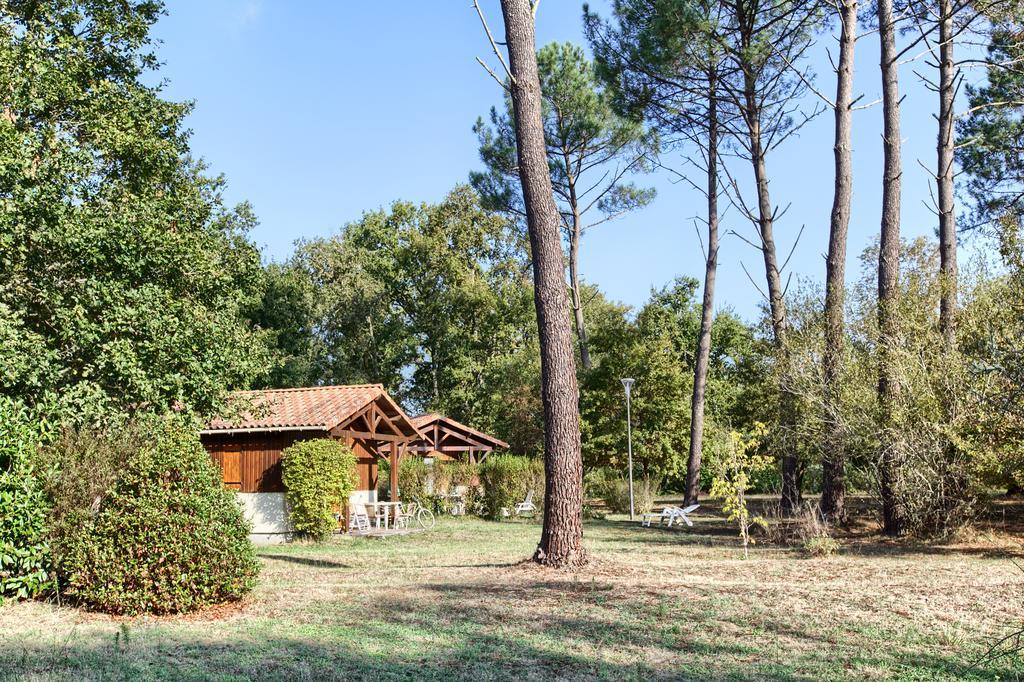 Les Chalets Du Gelat, Nature Et Calme Noaillan Buitenkant foto